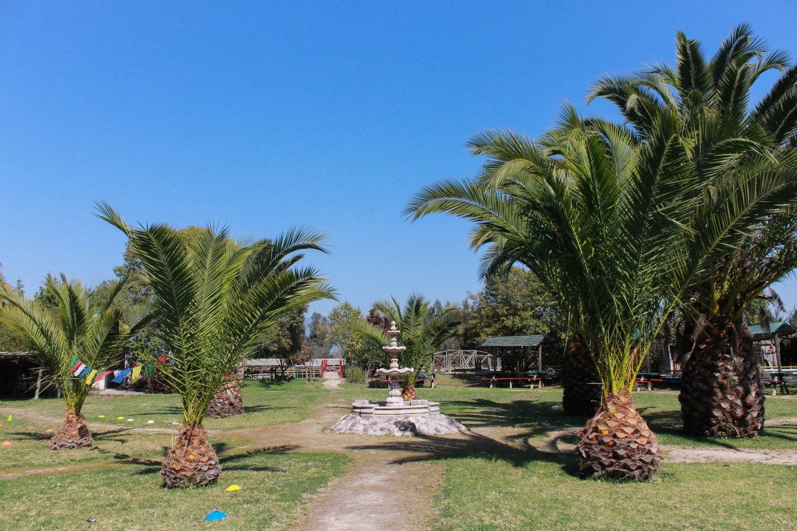 Granja El Molino (6)
